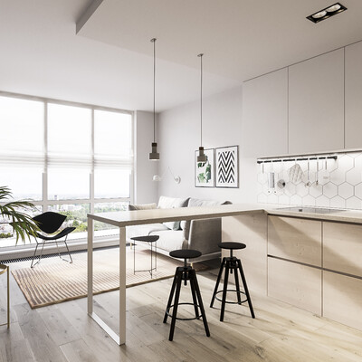 Kitchen-living room