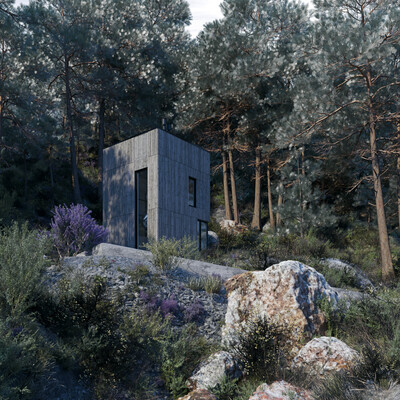 Norwegian wood