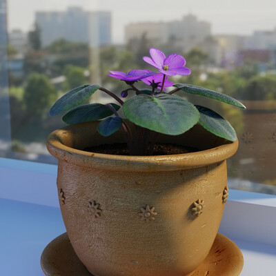 Violet