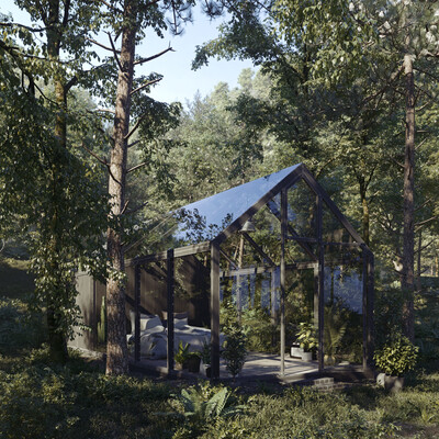 In the forest