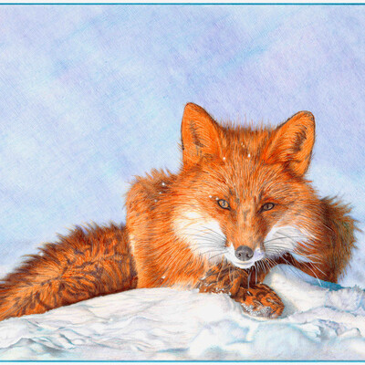 Fox