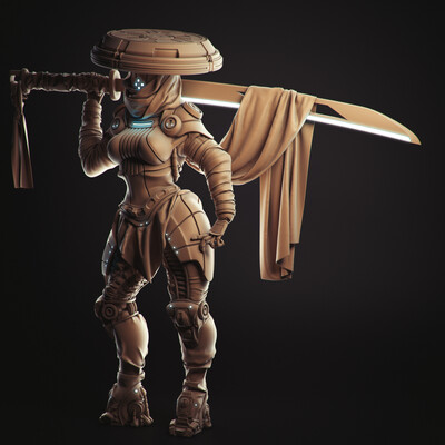 Cyborg Samurai
