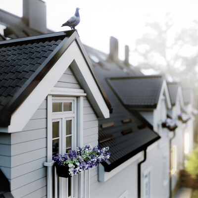 The new life of the old house