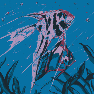 Angelfishes family