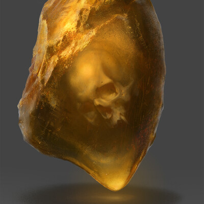 The most expensive amber