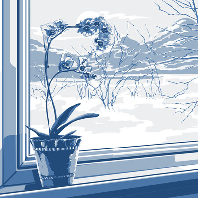 Winter outside the window ...