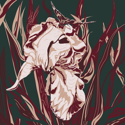 Flower and butterfly