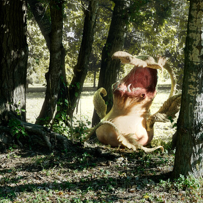 Victreebel Demonic Pokemon