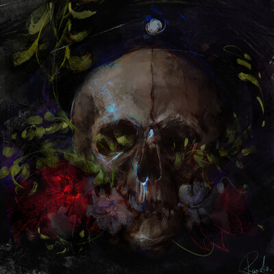 skull