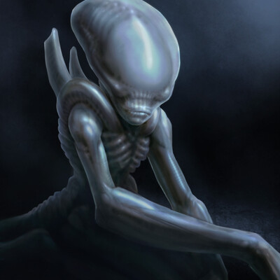Junior xenomorph