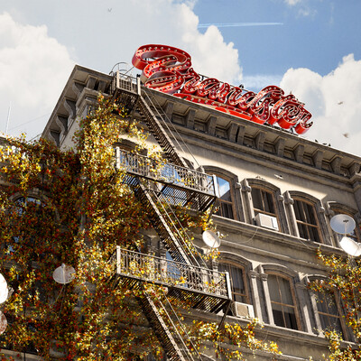 CGI: Brandster media