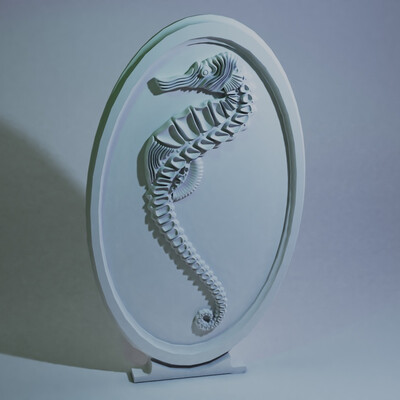 Sea Horse