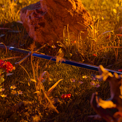 Sword in grass