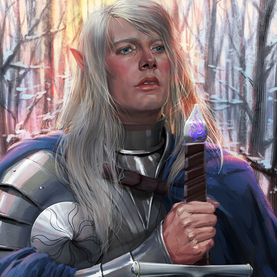 Elf-paladin. Comission work.