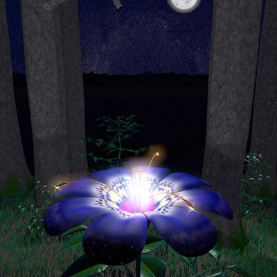 Artwork of contest