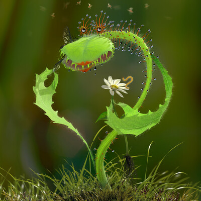 Artwork of contest