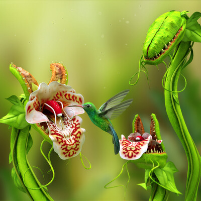 Artwork of contest