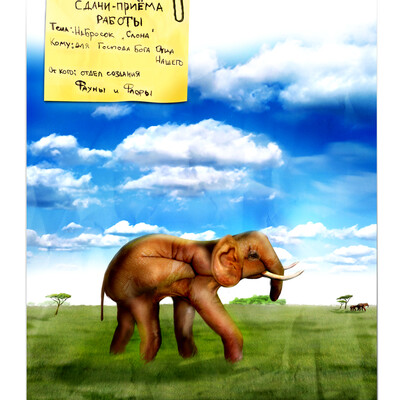 Artwork of contest