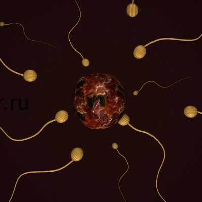 Artwork of contest