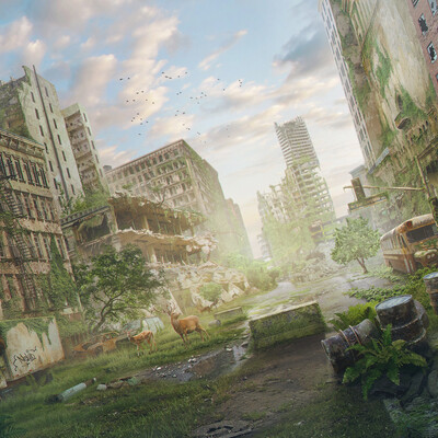 Artwork of contest