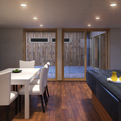 Modern house