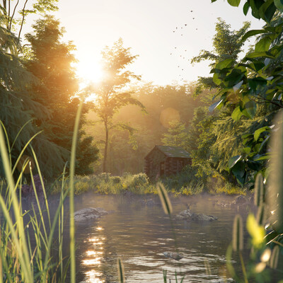 Summer forest