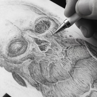 Skull