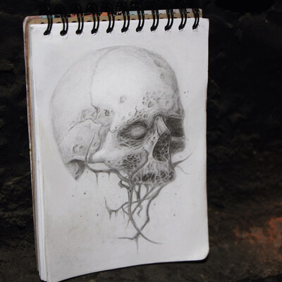 Skull