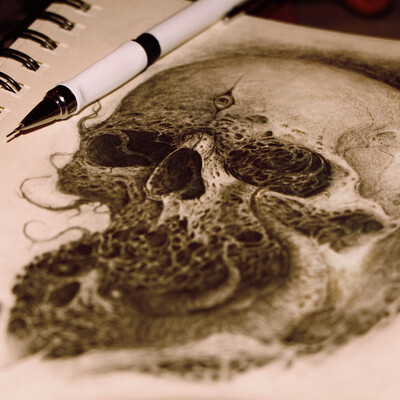 skull