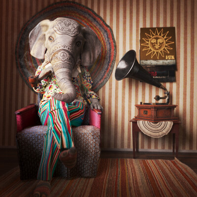 Elephant