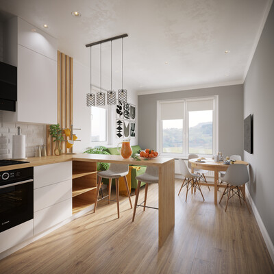 Kitchen living room visualization