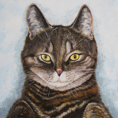 Kote