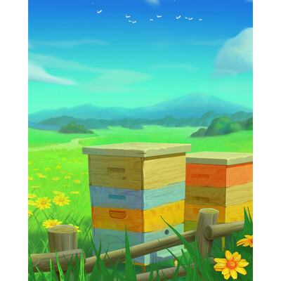 field of flowers