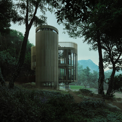 Tree House Constantia