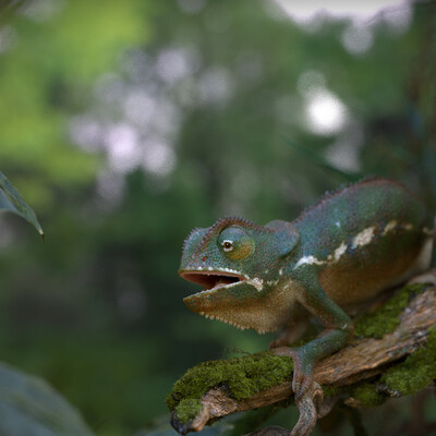 chameleon
