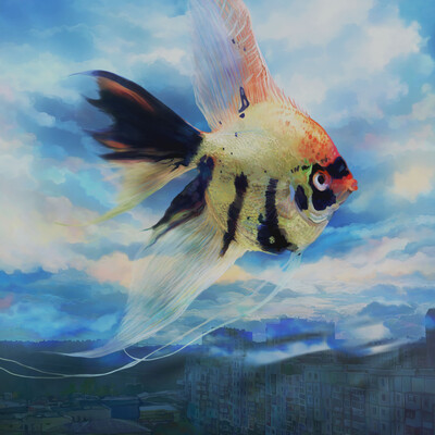 Peace Guardian Angelfish
