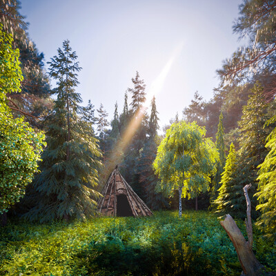 Forest scene