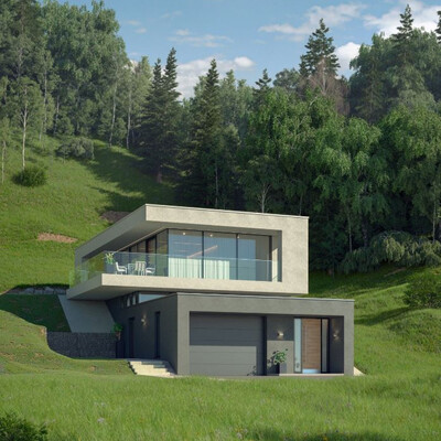 Single-family house