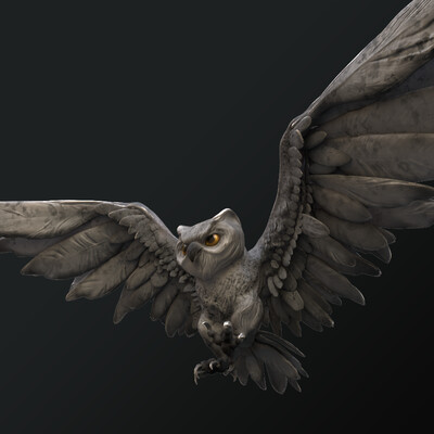 The owl