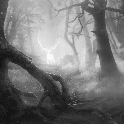 Patronus
