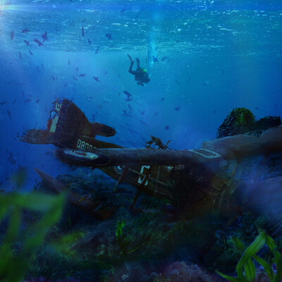 Plane on the ocean floor