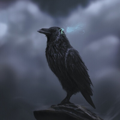 Raven