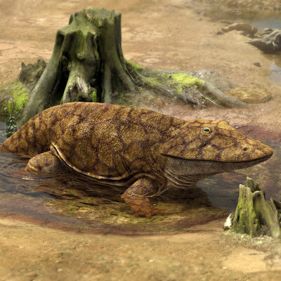Eryops megacephalus