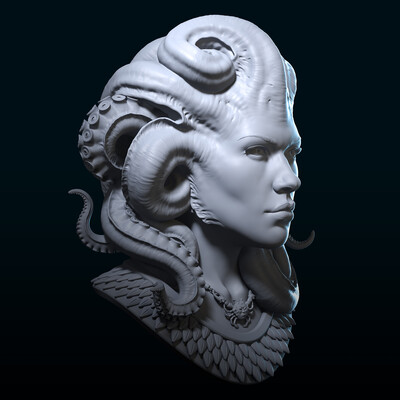 Octopus Girl