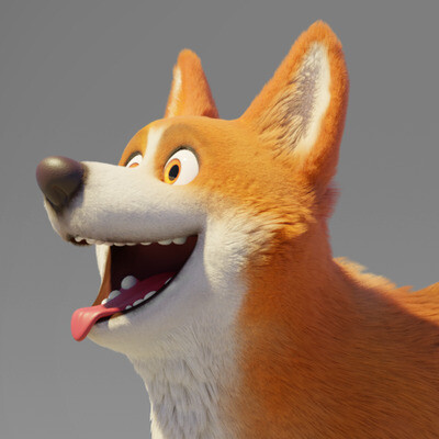 Dog corgi