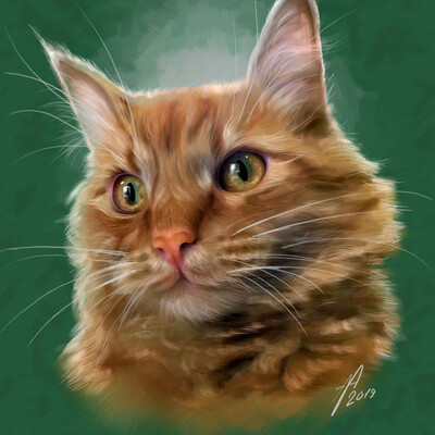 a portrait of a beloved cat