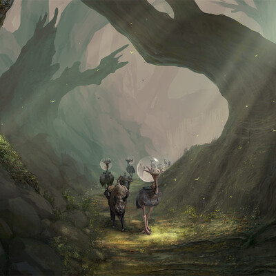 The Ancient Forest