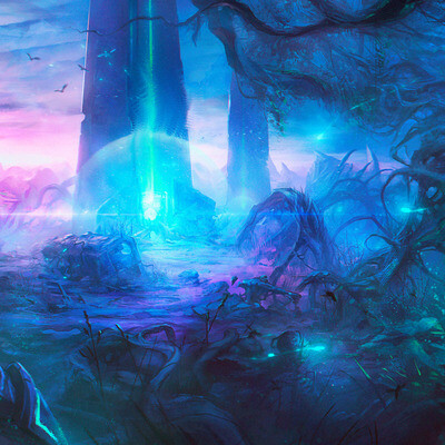 Explorers of the ancient forest