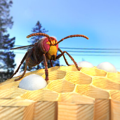 Hornet