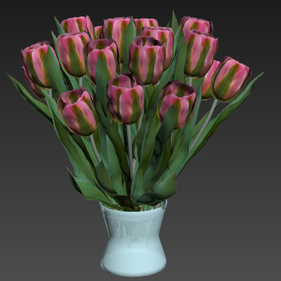 tulips